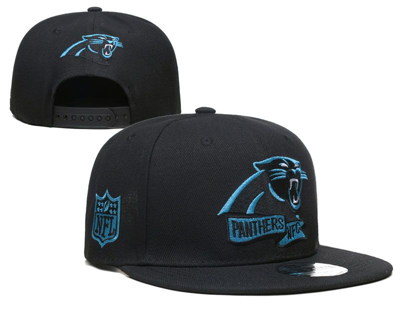 2022 NFL Carolina Panthers Hat YS1020